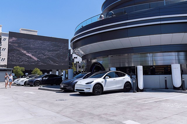 An enraged Redditor dropped a post on the r/TeslaUK subreddit to vent about yet another vandalism incident.