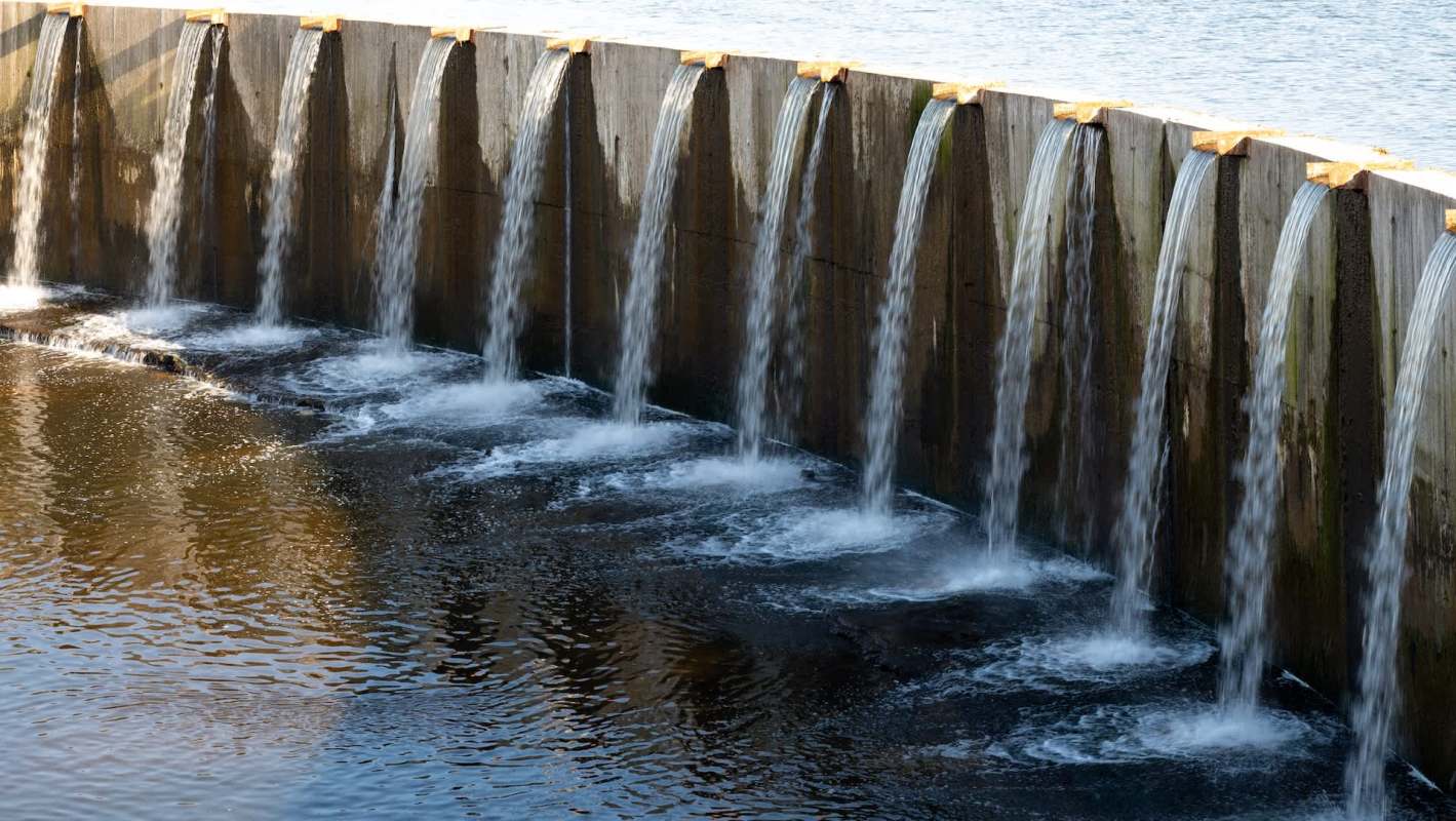 Officials in the sacred hill town of Tirumala, India, are celebrating a much-needed victory now that every major local dam is brimming with water.