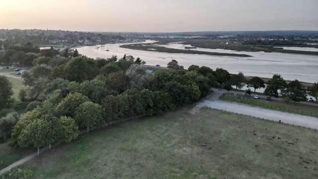 A man in the U.K. was fined over £5,000 for cutting down six protected trees.