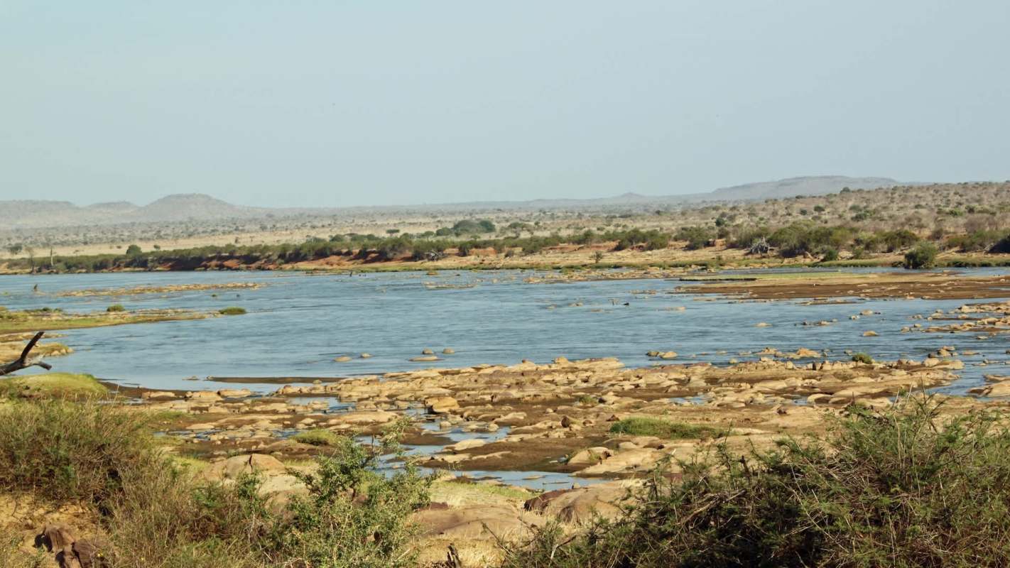 Dozens of elephants in Kenya's Tsavo ecosystem have died after drinking from a dangerously polluted river.