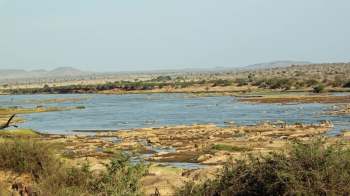 Dozens of elephants in Kenya's Tsavo ecosystem have died after drinking from a dangerously polluted river.