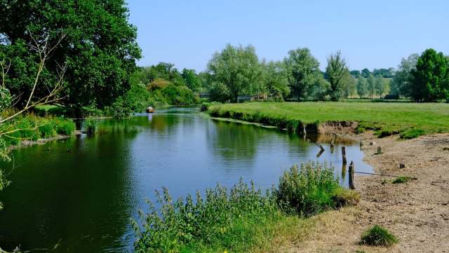 An experienced birdwatcher in the United Kingdom was treated to finding not one, but two rare birds in the span of just two weeks.