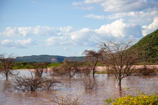 The Vaal Dam in South Africa recovered record high water levels of 102.40% capacity, providing relief to communities and ecosystems.