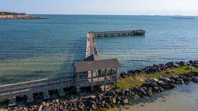 Thanks to conservation efforts from William & Mary's Batten School & VIMS' Eastern Shore Laboratory, the Virginia bay scallop population has resurged.