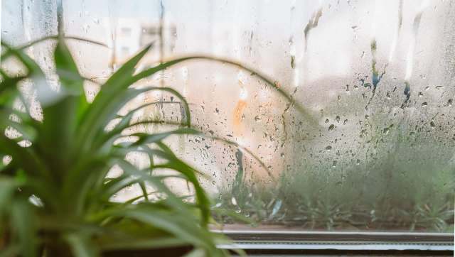 A Hawaiian company has developed machines that can pull fresh water directly out of the air, and two of those machines are ready to help.