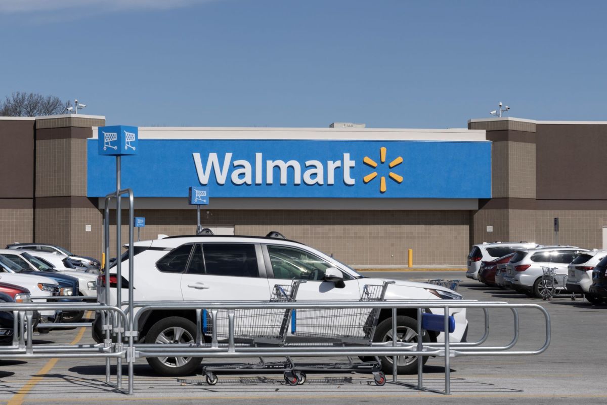 One Reddit user took to the internet to call out Walmart for using too many plastic bags in its online deliveries.
