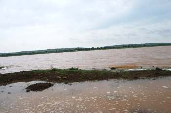 Due to torrential rainfall and flooding, the southern Indian district of Yadgir has suffered devastating crop losses.