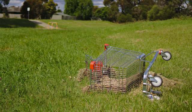 A new California law will help clean up abandoned shopping carts on streets and in waterways throughout the state.