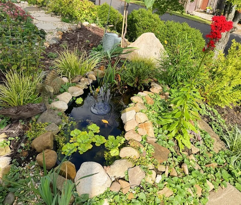 Many homeowners and outdoor enthusiasts know the headache of dealing with invasive plants.