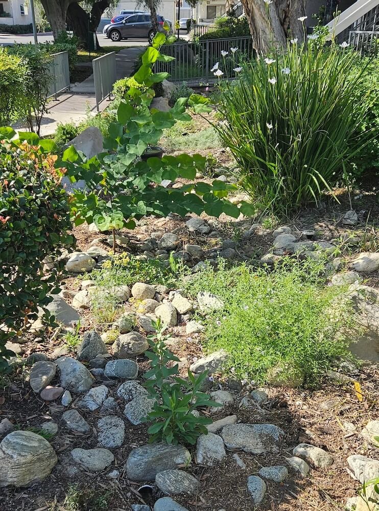 One Reddit user shared their journey in creating a native garden in their apartment complex, showing beautiful photos of the space.