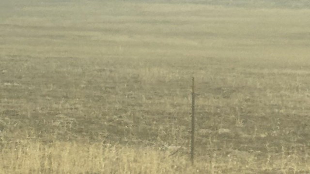 Air pollution is a serious issue. One Redditor revealed just how bad it is in Utah, sparking a conversation about factory emissions.