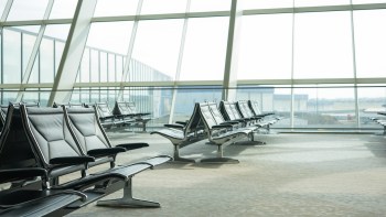 A smuggler from Bangkok was arrested after customs agents found 61 wild animals in their luggage at Mumbai's Chhatrapati Shivaji Maharaj International Airport.