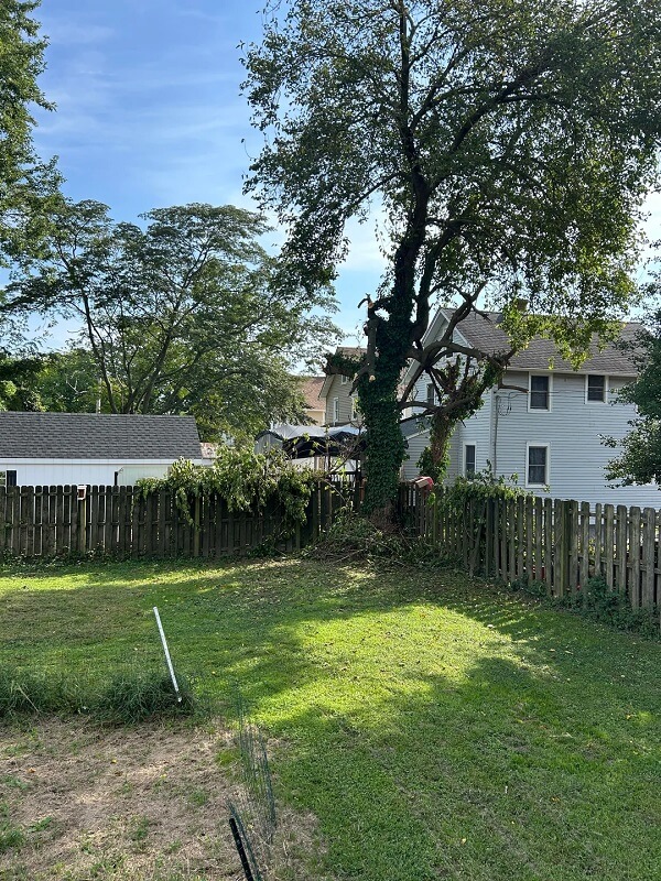 One Redditor posted their experience with an outrageous tree-trimming job — and the entire forum rallied to offer support.