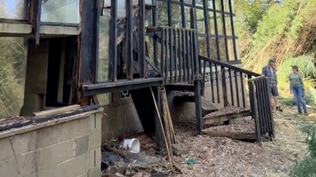 One couple shared a viral TikTok of the intense bamboo removal from their front yard as part of a major home renovation.