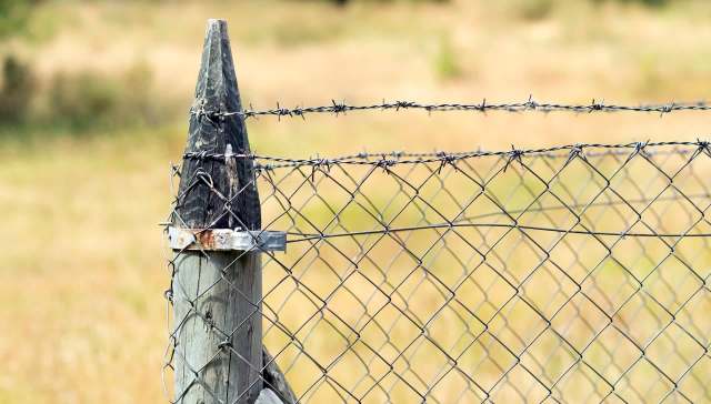 A young deer was severely injured by a barbed wire fence but made a full recovery and was released back into the wild.