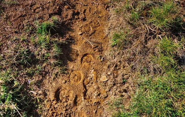 A bear attack involving a group of schoolchildren in Bella Coola, British Columbia, has left a community in shock.