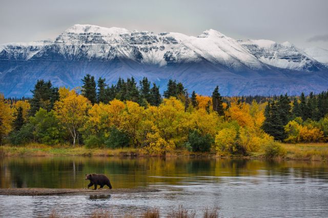 Researchers found that retreating glaciers may be delivering fewer nutrients to the ocean, disrupting the balance of vulnerable marine ecosystems.
