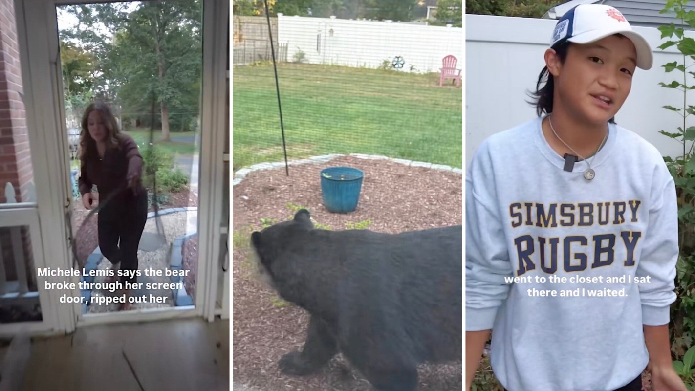 The bear invasion happened on a Sunday in late September, which coincides with the hyperphagia season when bears eat excessively to prepare for the winter. 