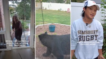 The bear invasion happened on a Sunday in late September, which coincides with the hyperphagia season when bears eat excessively to prepare for the winter. 