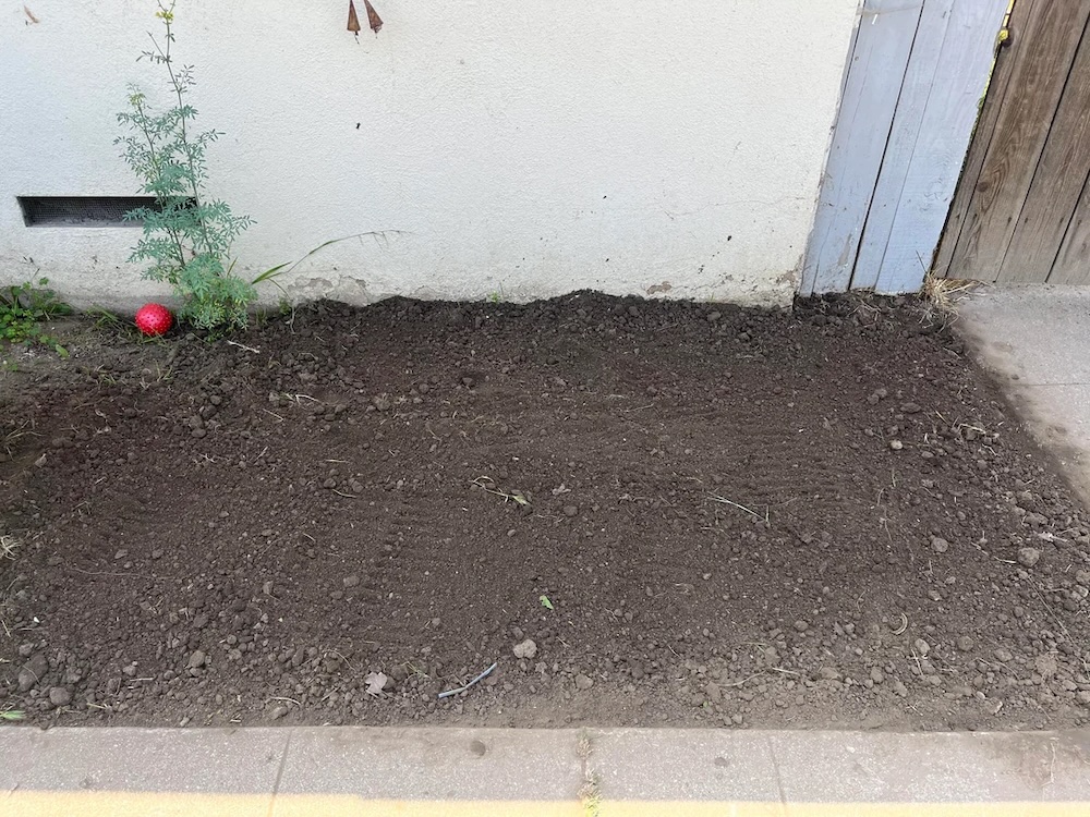 One gardener shared how they transformed their yard into a vibrant native garden, encouraging others to do the same.