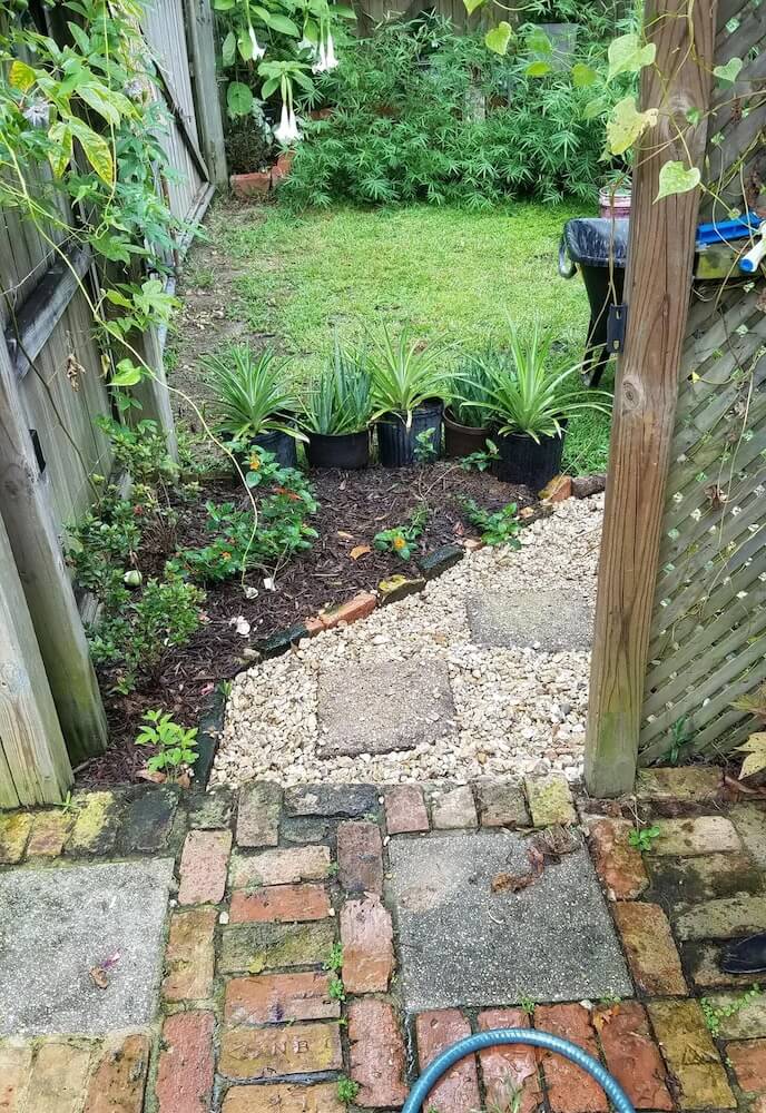 One gardener turned their lawn into a personal paradise, emphasizing native plantings and creating a beautiful landscape.