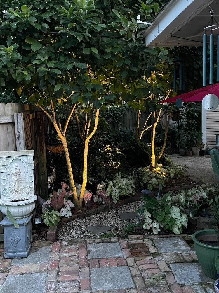 One gardener turned their lawn into a personal paradise, emphasizing native plantings and creating a beautiful landscape.