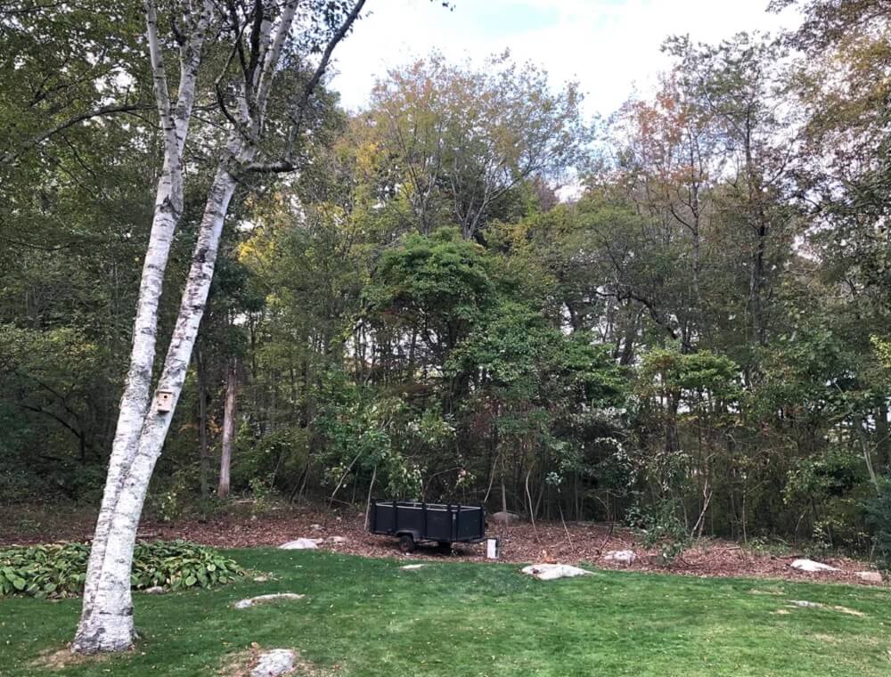 One dedicated gardener shared remarkable before-and-after photos of a backyard transformation that took months to accomplish.