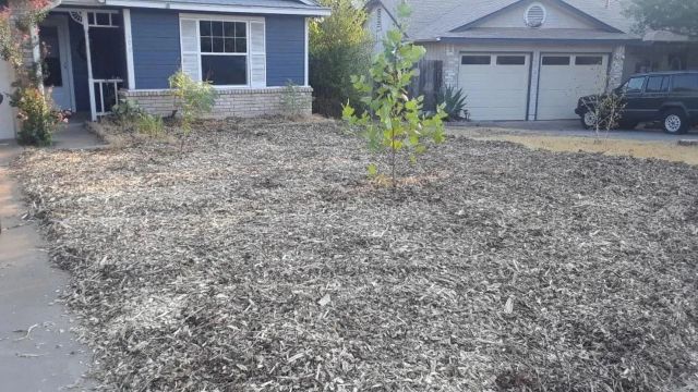 According to the United Nations, conserving and restoring natural spaces can help reduce the heat-trapping gases that are causing many regions to become too hot to live in.