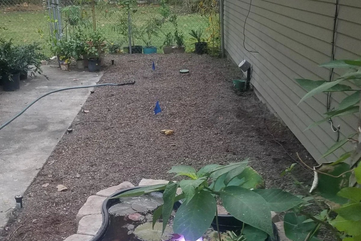 One gardener turned their lawn into a personal paradise, emphasizing native plantings and creating a beautiful landscape.