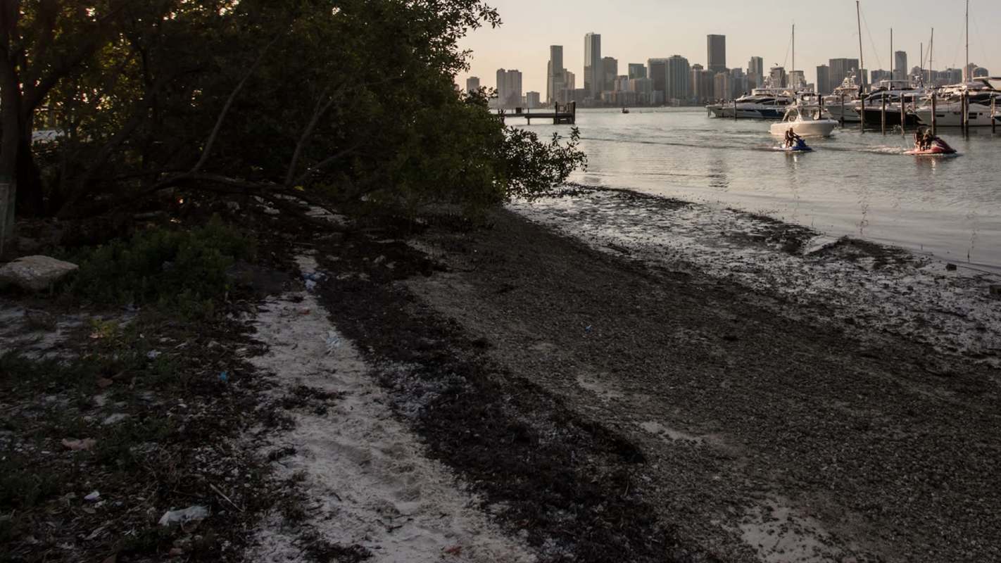One TikTok user's shared a maddening experience with allegedly biodegradable packaging at his local beach.