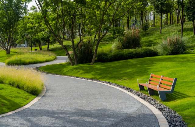 Research has shown that increasing biodiversity in cities can improve health in humans.