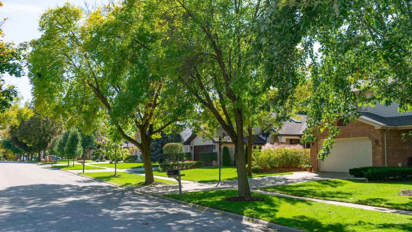 One Ottawa councilor is proposing a bylaw to limit the feeding of backyard wildlife, including through bird feeders.