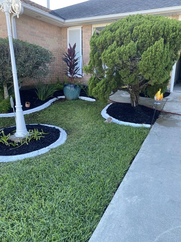 The Reddit gardening community helped a concerned homeowner learn about the dangers of mulch volcanoes and how to protect his trees.