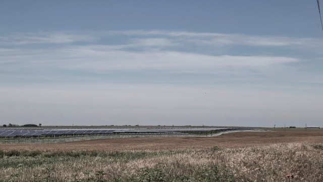 Black vultures are now appearing north of their typical range because of warming temperatures and human development.