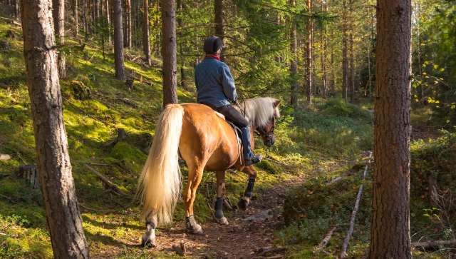 One Idaho horseback rider had a tense standoff with a black wolf while out on the trail.