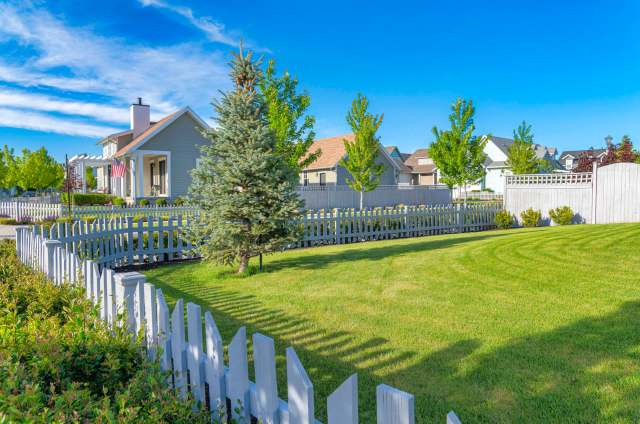 One homeowner shared their story of trying to remove an invasive burning bush from their yard — and the struggle it entailed.