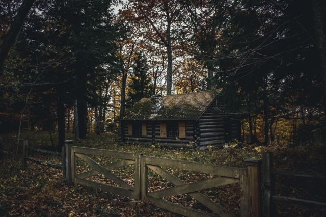 Officials in India busted an animal trafficking operation from criminals planning to sell parts from a leopard and a barn owl.