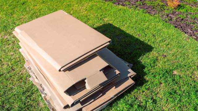 One TikToker showed how you can use old cardboard boxes to improve your garden's soil and block weeds — all for free.