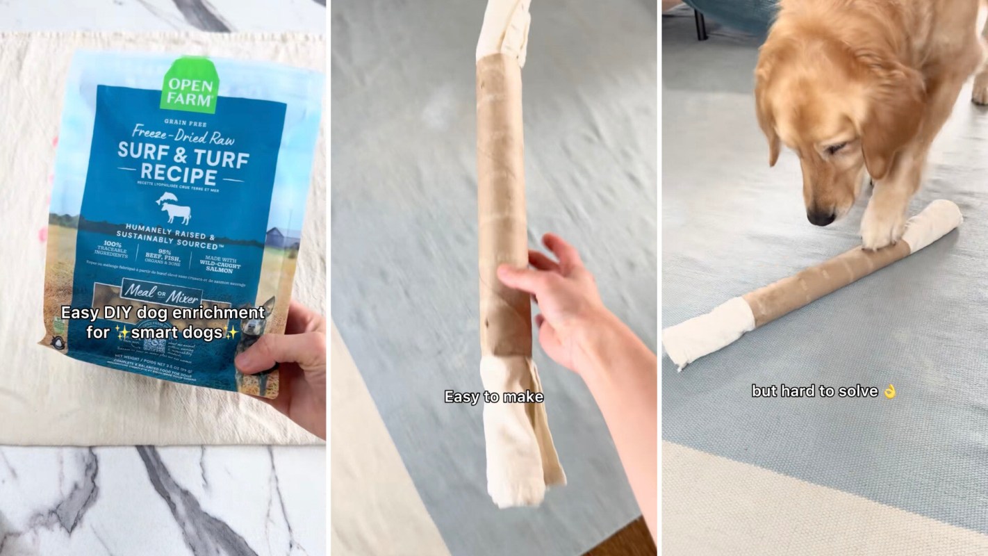 Try this simple hack the next time you have a cardboard tube: Turn it into a fun and eco-friendly pet toy.