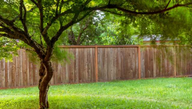 One Redditor shared how they used a cardboard weed barrier to keep their garden looking amazing without harmful chemicals.