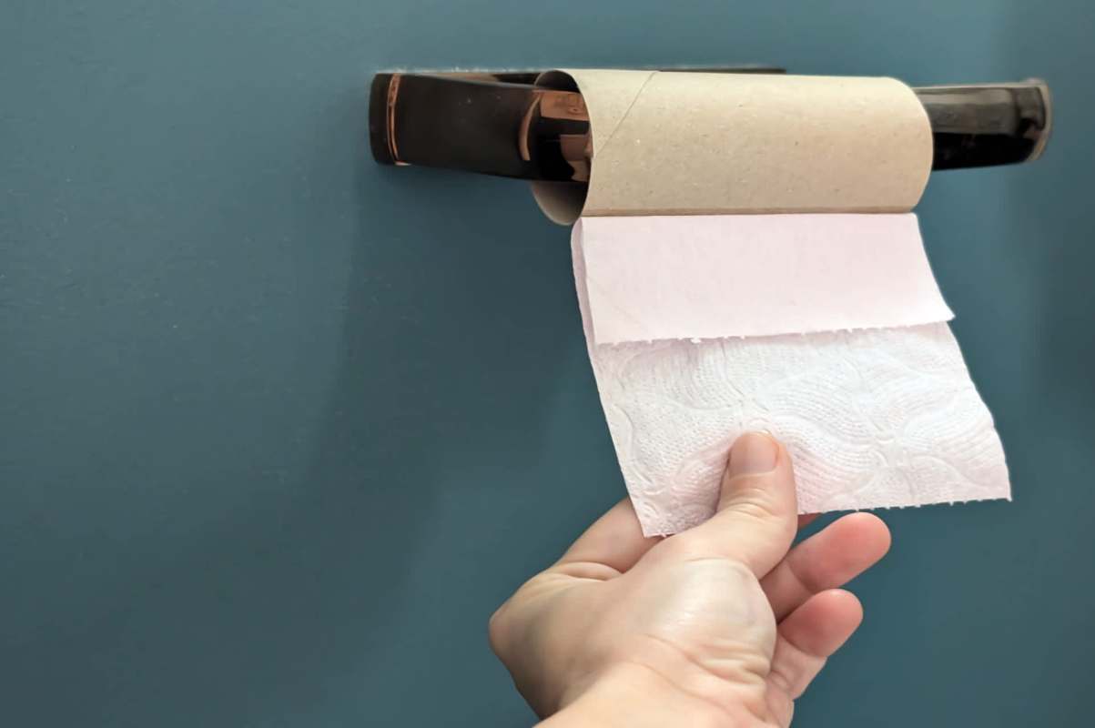 This TikTok hack turns empty toilet paper rolls into fun and free cat toys.