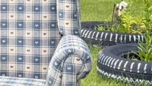 One Redditor just scored what might be the curb shopping equivalent of treasure: a matching set of stylish vintage chairs.