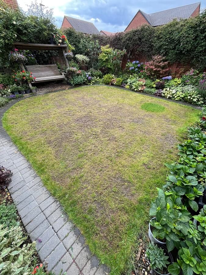 One Redditor shared their experience with replacing a traditional lawn with a clover lawn.