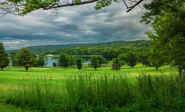 A common cuckoo was spotted at a Long Island, New York, golf course, providing bird-watchers with a once-in-a-lifetime sighting.