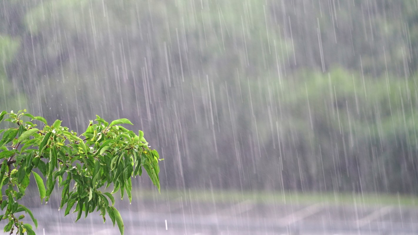 Langley Park in Maryland is somewhat lacking in green spaces, but after receiving a grant of $100,000 from Nature Forward, the neighborhood is building a community space as well as a rain garden.