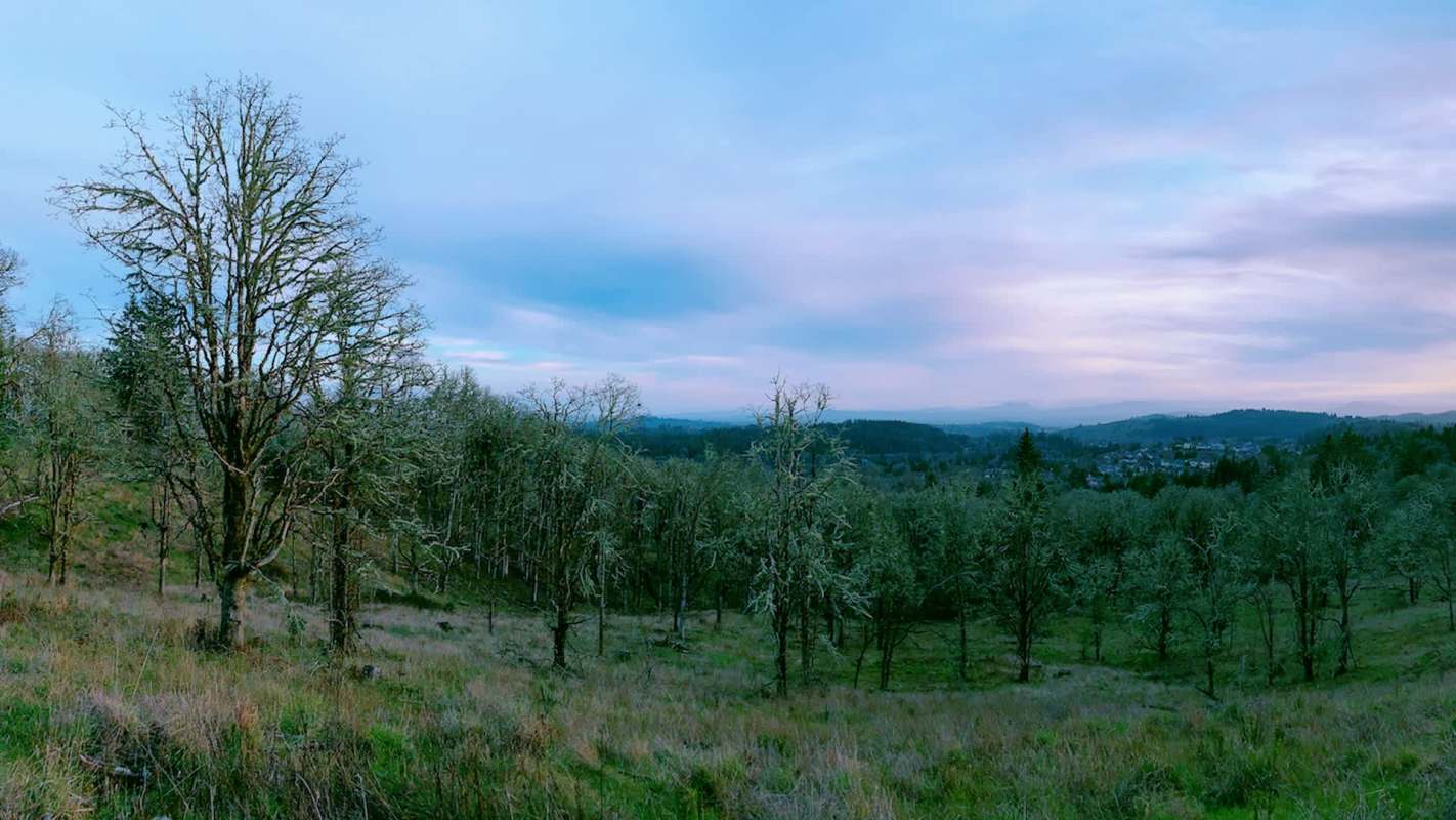 Residents in an Oregon town were left unsettled after a large predator — a cougar — popped in for an unscheduled visit.