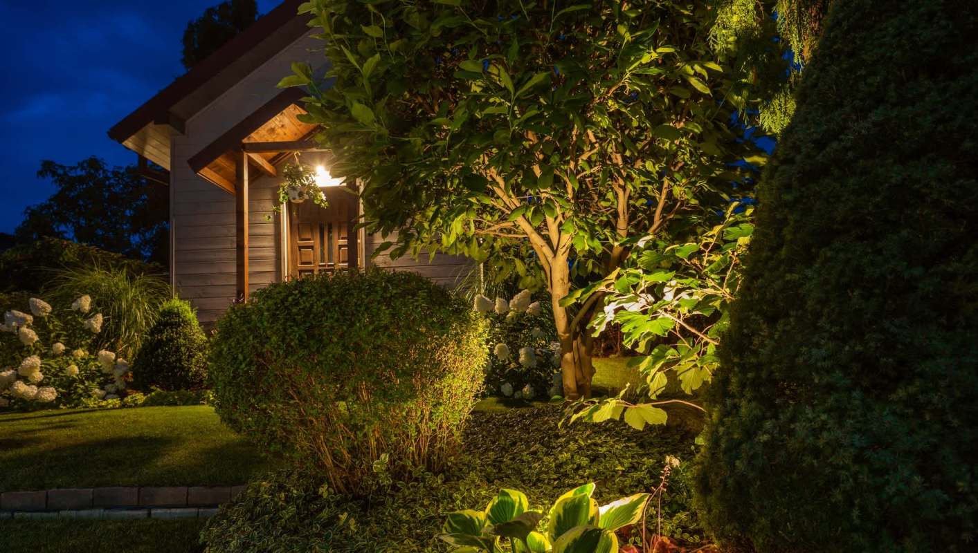 A New Jersey housekeeper was seriously injured after a coyote attack in a backyard bordering a wooded nature preserve.