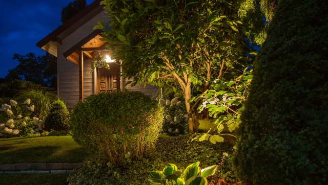 A New Jersey housekeeper was seriously injured after a coyote attack in a backyard bordering a wooded nature preserve.