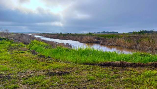 Thousands of coyotes are killed every year in the United States, often at enormous taxpayer expense. This new research underscores how futile that is.
