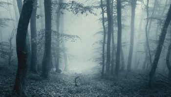 As Congress pushes crypto legislation, environmental advocates warn it could come with a heavy energy cost.